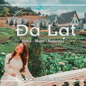 Dia-diem-luu-tru-khach-san-da-lat