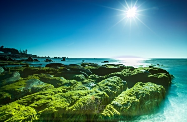 Phượt Cổ Thạch Bãi biển rêu xanh ngoài hành tinh 83 e1561711751887