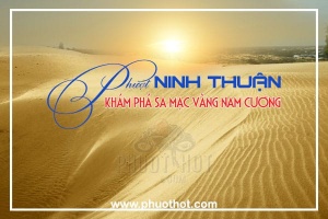 Phượt Ninh Thuận Khám phá sa mạc vàng Nam Cương avarta