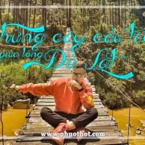 Nhung-cay-cau-treo-giua-long-da-lat
