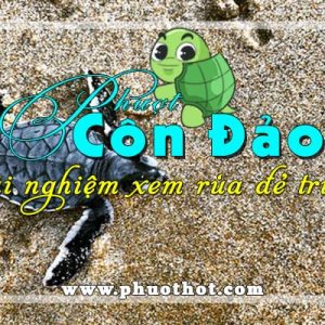 Phuot-con-dao-xem-rua-de-trung-vo-cung-dac-biet (1)