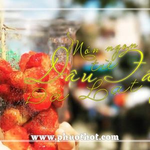 Mon-ngon-tu-dau-tay-da-lat (1)