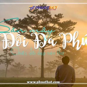 Kinh-nghiem-san-may-doi-da-phu-da-lat (1)
