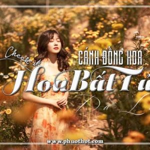Canh-dong-hoa-bat-tu-da-lat