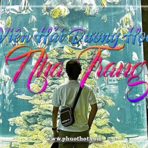 PhƯỢt-hot - -viỆn-hẢi-dƯƠng-hỌc-nha-trang-(avarta)