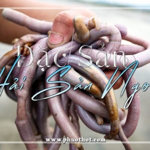 Cac-mon-dac-san-hai-san-ngon (2)