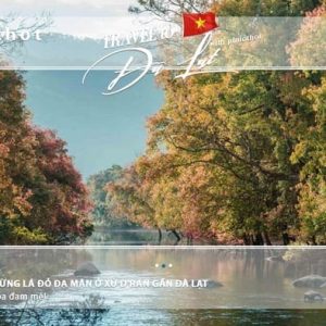Trekking-cam-trai-rung-la-do-da-man-o-xu-d'ran-gan-da-lat-(avarta)