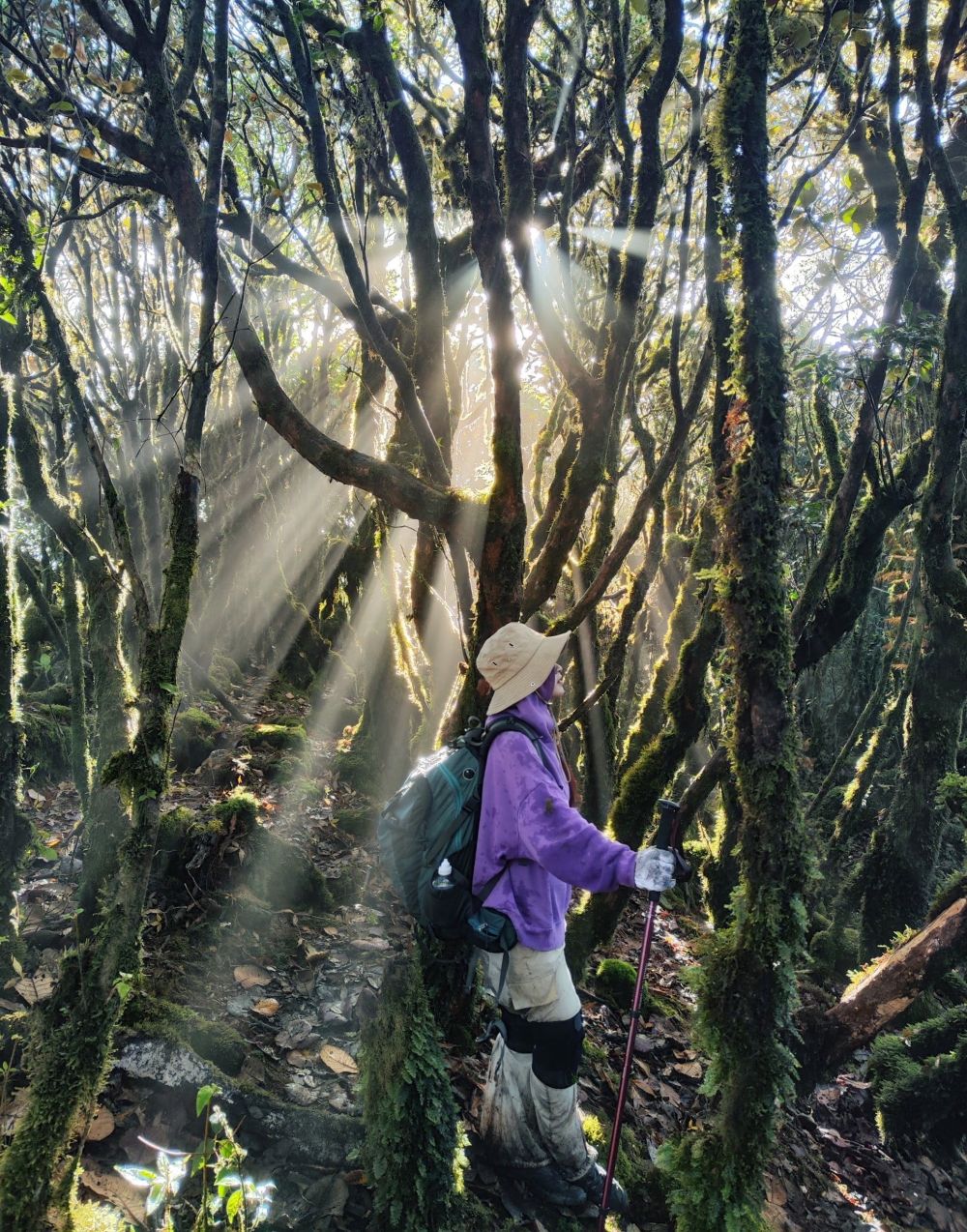 Trekking Đỉnh Sa Mu U Bò Để Khám Phá Vẻ Đẹp Hoang Dã Ma Mị 37 trekking-dinh-sa-mu-u-bo-hoang-da-ma-mi-17