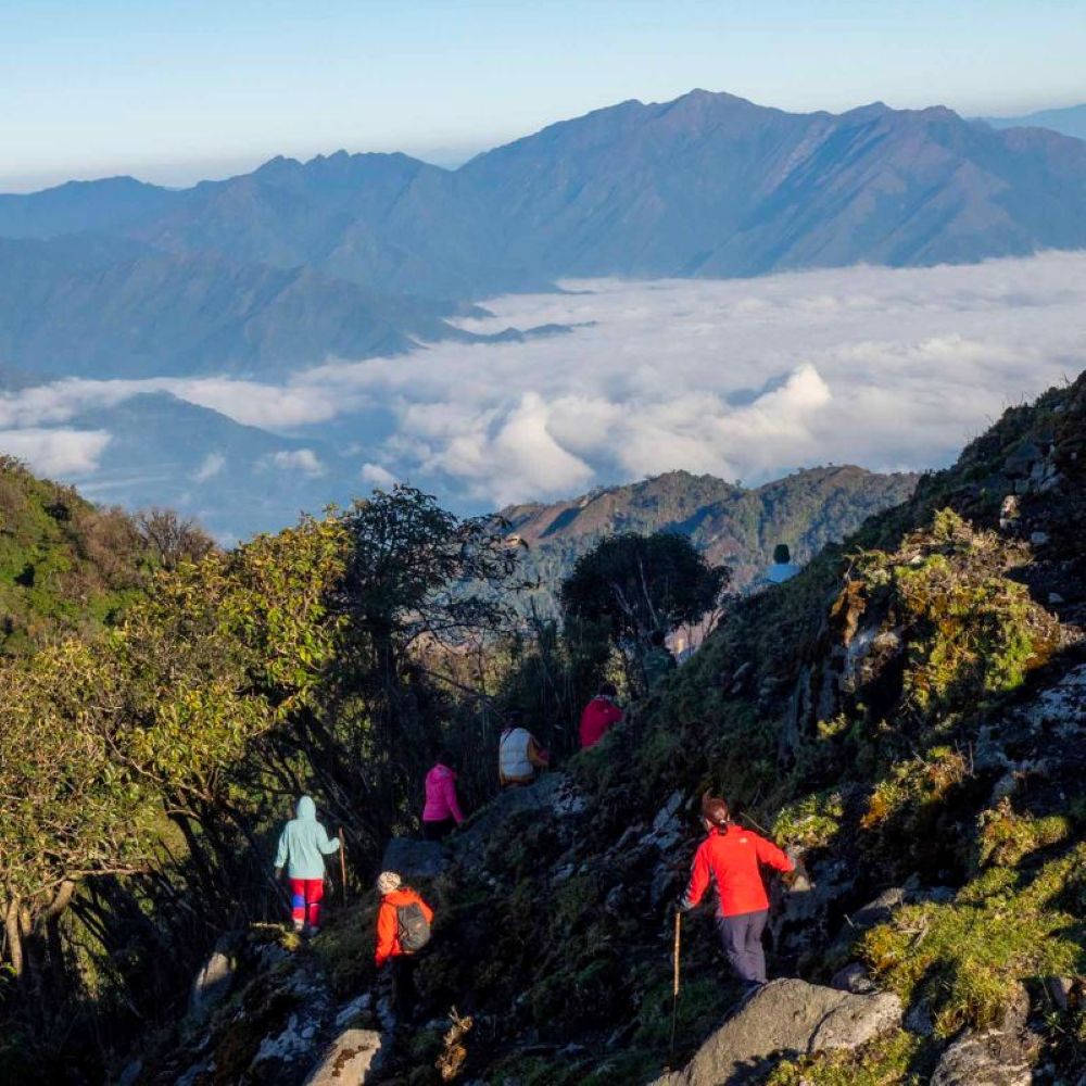 Trekking Đỉnh Sa Mu U Bò Để Khám Phá Vẻ Đẹp Hoang Dã Ma Mị 32 trekking-dinh-sa-mu-u-bo-hoang-da-ma-mi-3