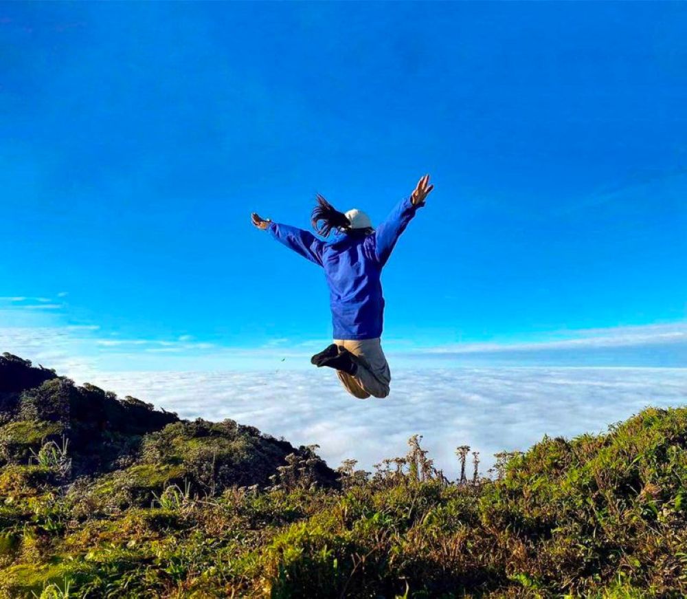 Trekking Đỉnh Sa Mu U Bò Để Khám Phá Vẻ Đẹp Hoang Dã Ma Mị 30 trekking-dinh-sa-mu-u-bo-hoang-da-ma-mi-4