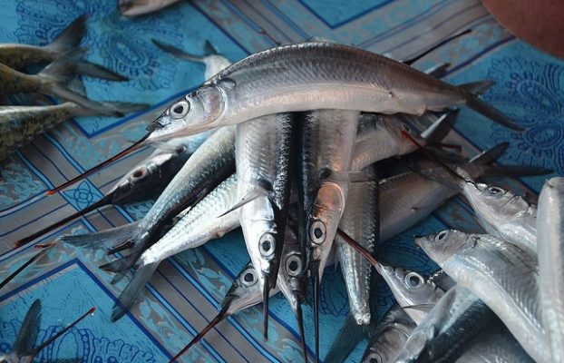 Du Lịch Hồ Tà Đùng Đắk Nông Ăn Gì Ngon?