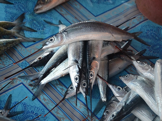 Du Lịch Hồ Tà Đùng Đắk Nông Ăn Gì Ngon?