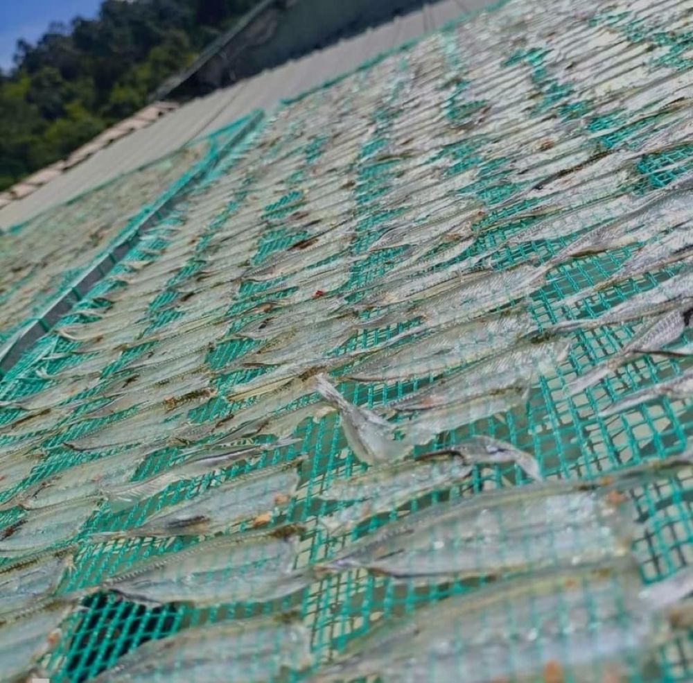 Du Lịch Hồ Tà Đùng Đắk Nông Ăn Gì Ngon? 39 du-lich-ho-ta-dung-dak-nong-an-gi-ngon-9