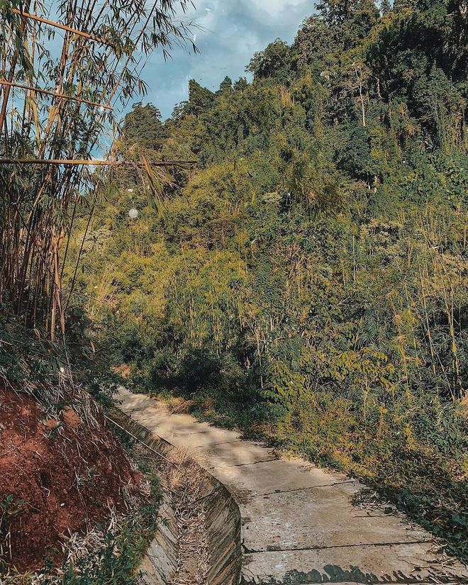 Khám Phá Thác Liêng Nung: Thiên Đường Thác Đổ Giữa Lòng Núi Rừng 30 kham pha thac lien nung tay nguyen 17